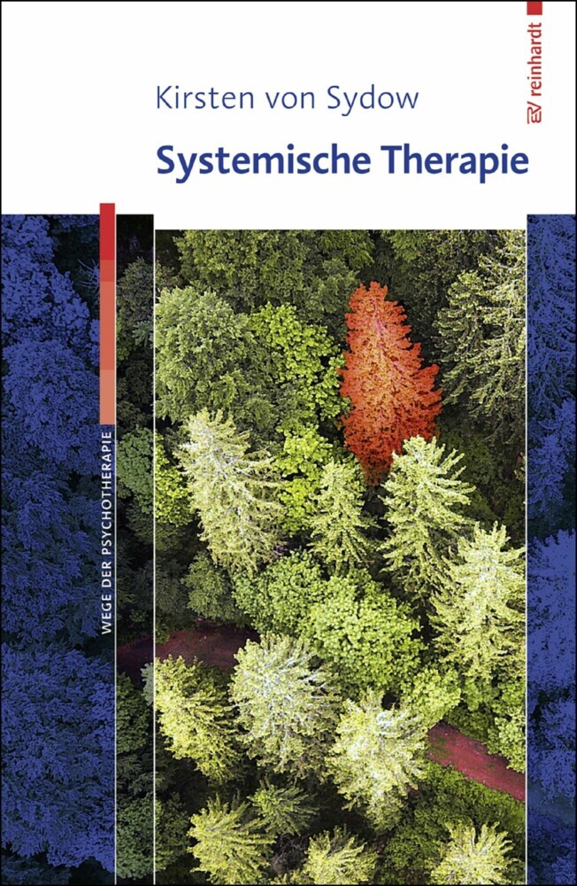 Systemische Therapie main product photo