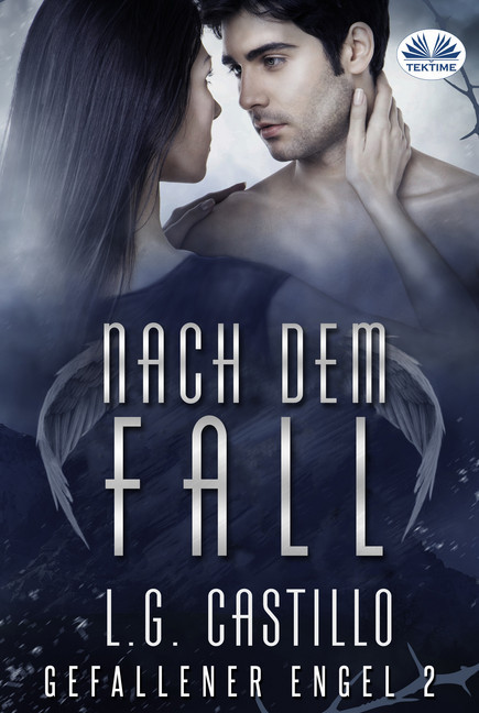Nach Dem Fall (Gefallener Engel #2) main product photo