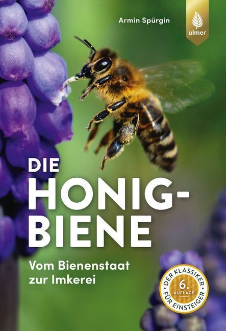 Die Honigbiene main product photo