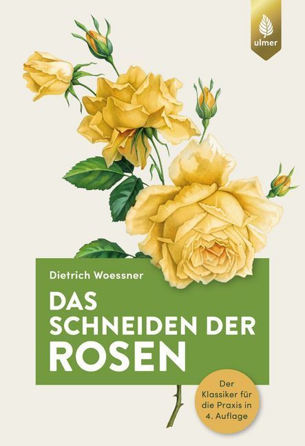 Das Schneiden der Rosen main product photo