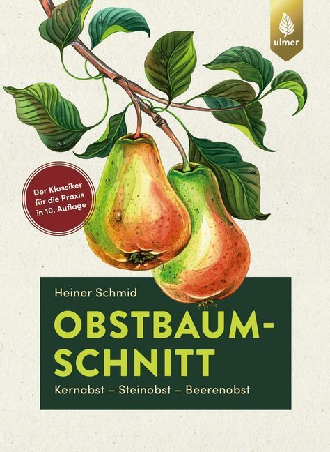 Obstbaumschnitt main product photo