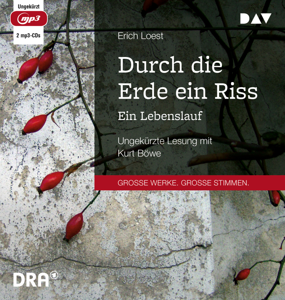 Durch die Erde ein Riss - Ein Lebenslauf, 2 Audio-CD, 2 MP3 main product photo