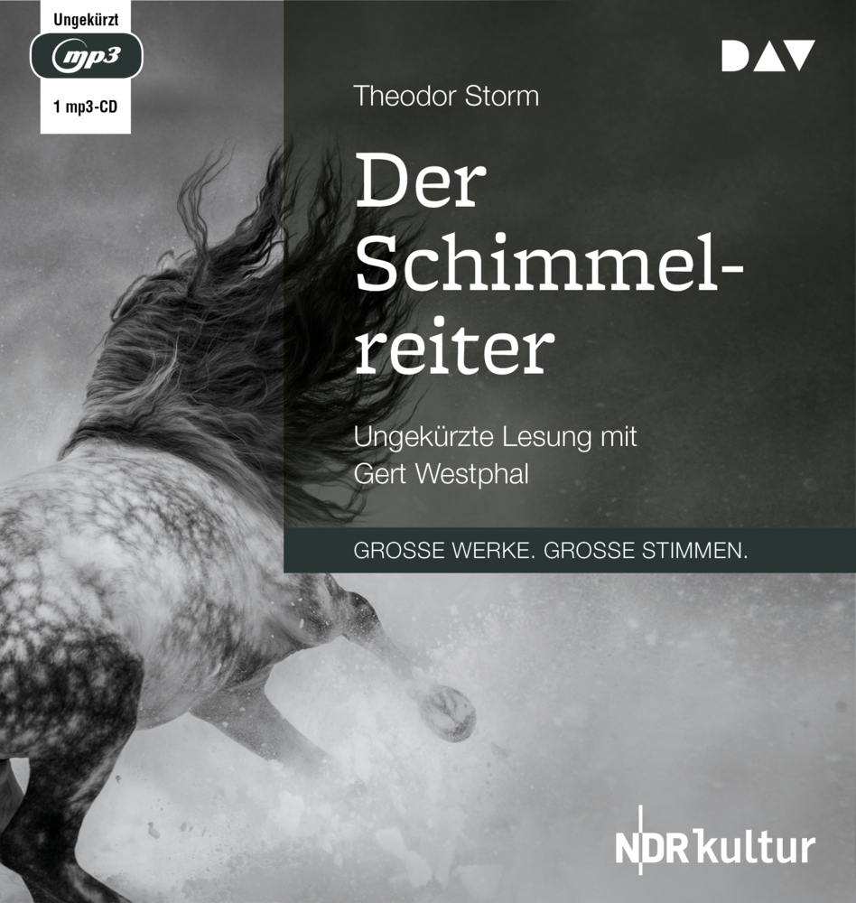 Der Schimmelreiter, 1 Audio-CD, 1 MP3 main product photo