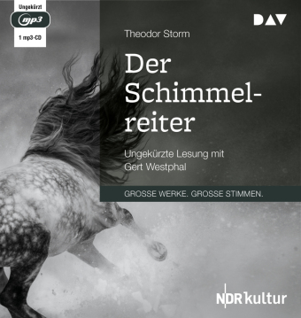Der Schimmelreiter, 1 Audio-CD, 1 MP3