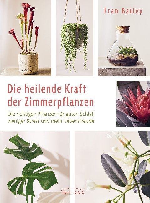 Die heilende Kraft der Zimmerpflanzen main product photo