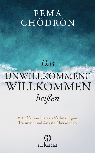 Das Unwillkommene willkommen heißen main product photo