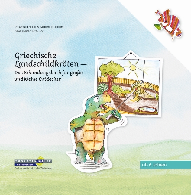 Griechische Landschildkröten main product photo