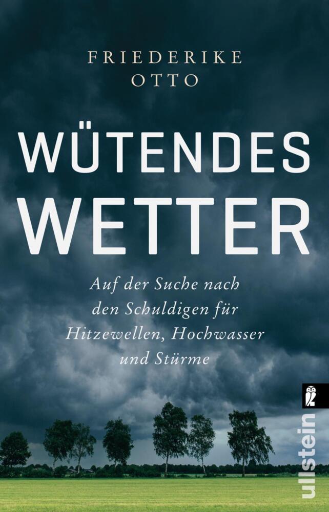 Wütendes Wetter main product photo