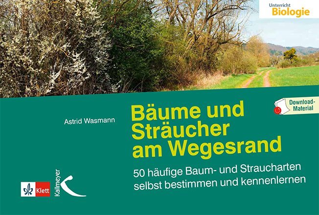 Bäume und Sträucher am Wegesrand main product photo