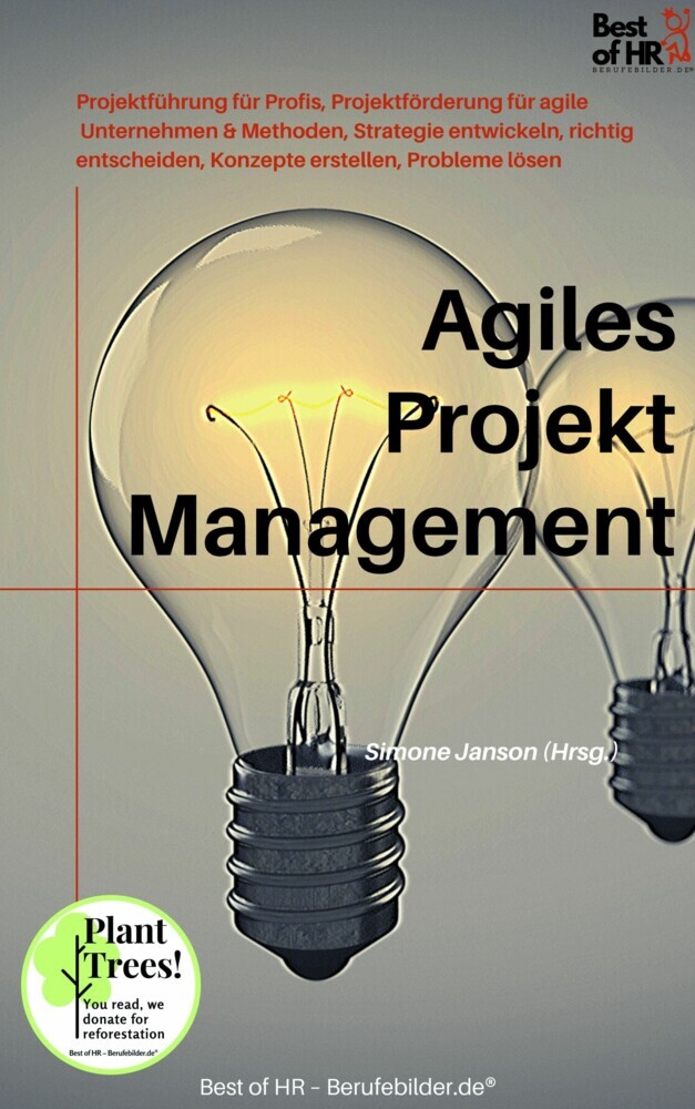 Agiles Projektmanagement main product photo