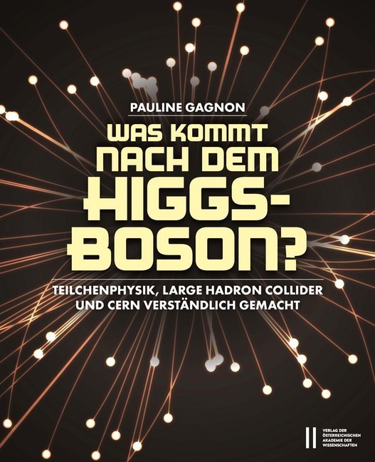 Was kommt nach dem Higgs-Boson? main product photo