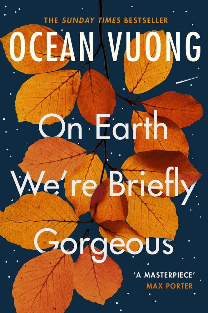 On Earth We're Briefly Gorgeous main product photo