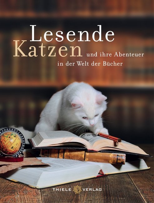 Lesende Katzen main product photo
