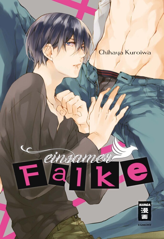 Einsamer Falke main product photo
