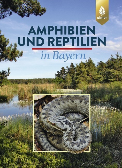 Amphibien und Reptilien in Bayern main product photo