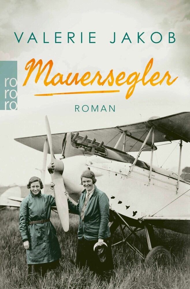 Mauersegler main product photo