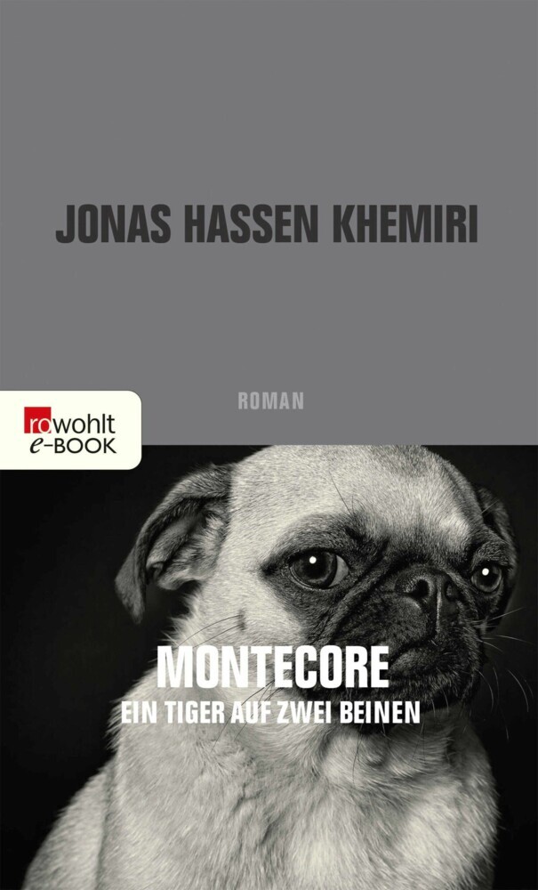 Montecore, ein Tiger auf zwei Beinen main product photo