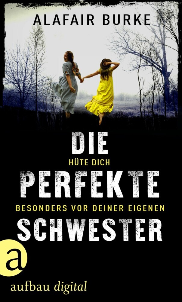 Die perfekte Schwester main product photo