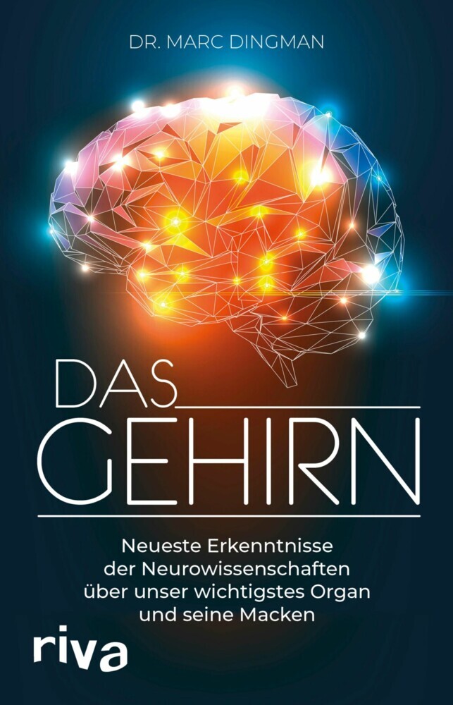 Das Gehirn main product photo
