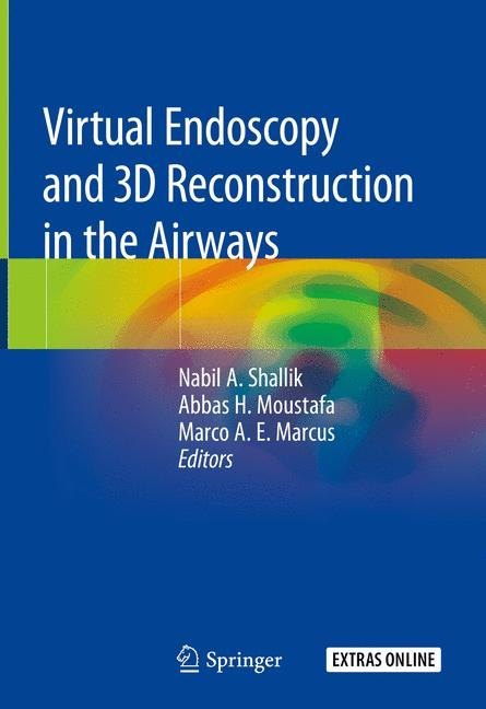 Virtual Endoscopy and 3D Reconstruction in the Airways main product photo