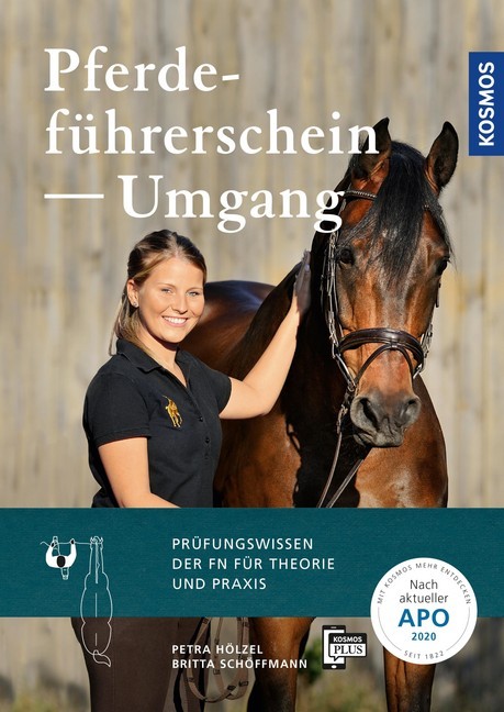 Pferdeführerschein Umgang main product photo