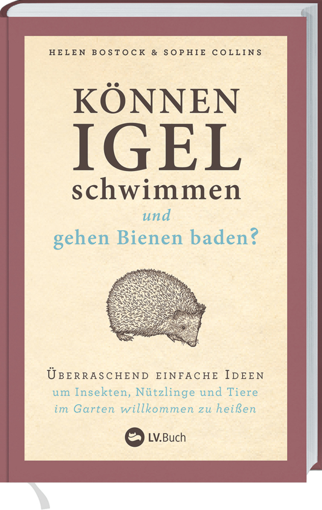 Können Igel schwimmen und gehen Bienen baden? main product photo