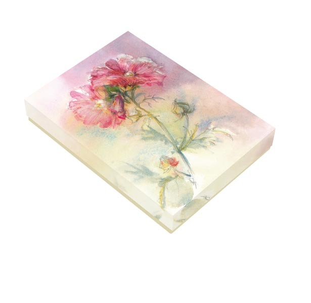 Beeindruckende Schönheiten, 10 Karten main product photo