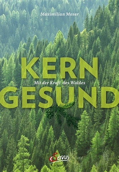 Kerngesund mit der Kraft des Waldes main product photo