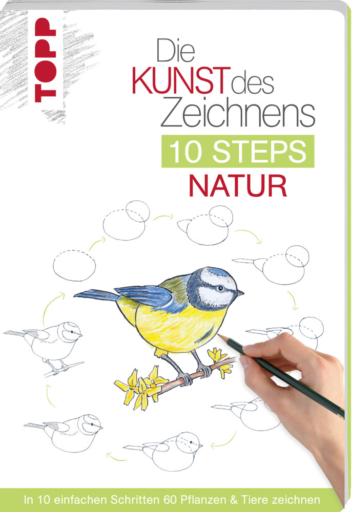 Die Kunst des Zeichnens 10 Steps - Natur main product photo