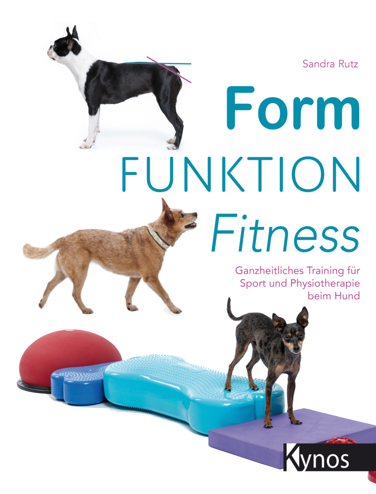Form Funktion Fitness main product photo