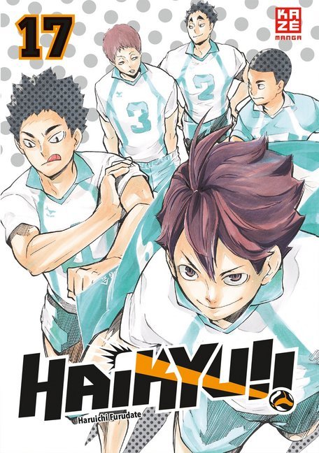 Haikyu!!. Bd.17 main product photo
