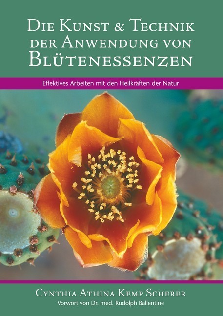 Die Kunst & Technik der Anwendung von Blütenessenzen main product photo