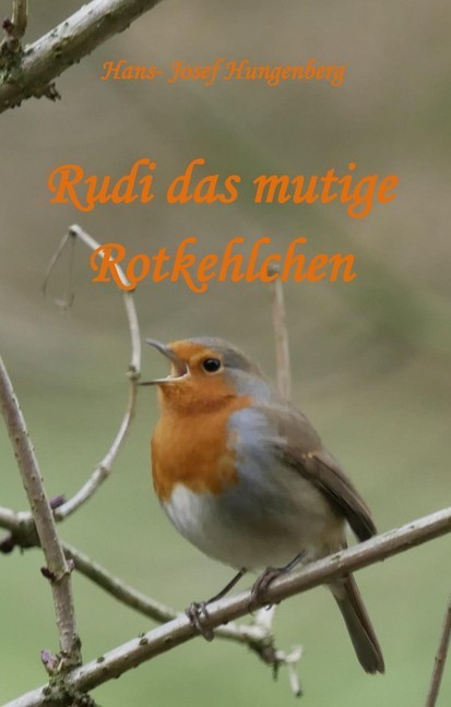 Rudi das mutige Rotkehlchen main product photo