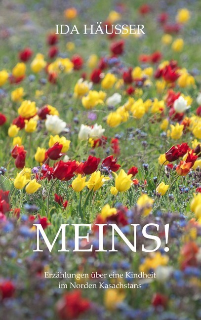 Meins! main product photo