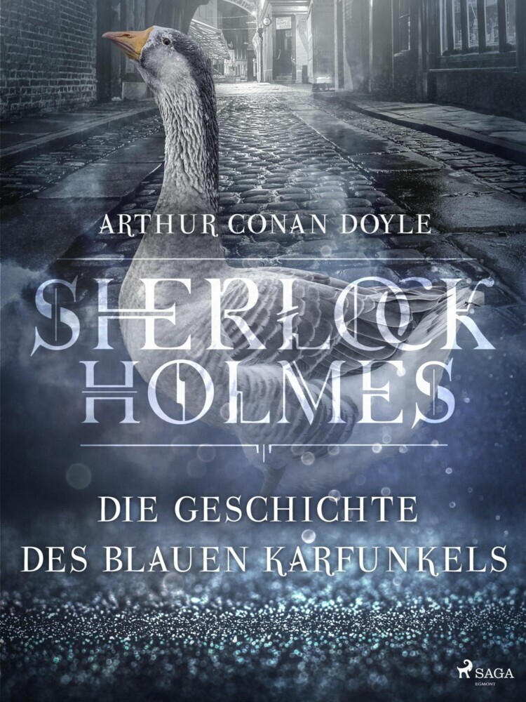 Die Geschichte des blauen Karfunkels main product photo