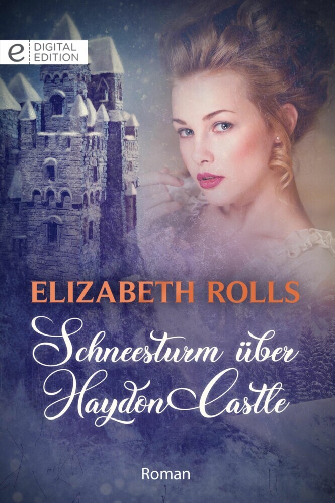 Schneesturm über Haydon Castle main product photo