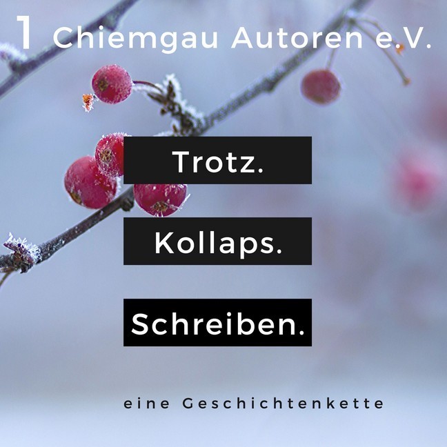Trotz. Kollaps. Schreiben. main product photo