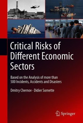 Critical  Risks of Different Economic Sectors