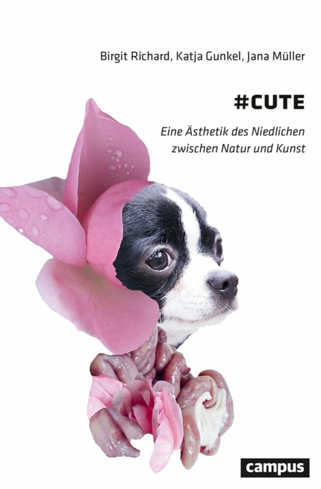 #cute main product photo