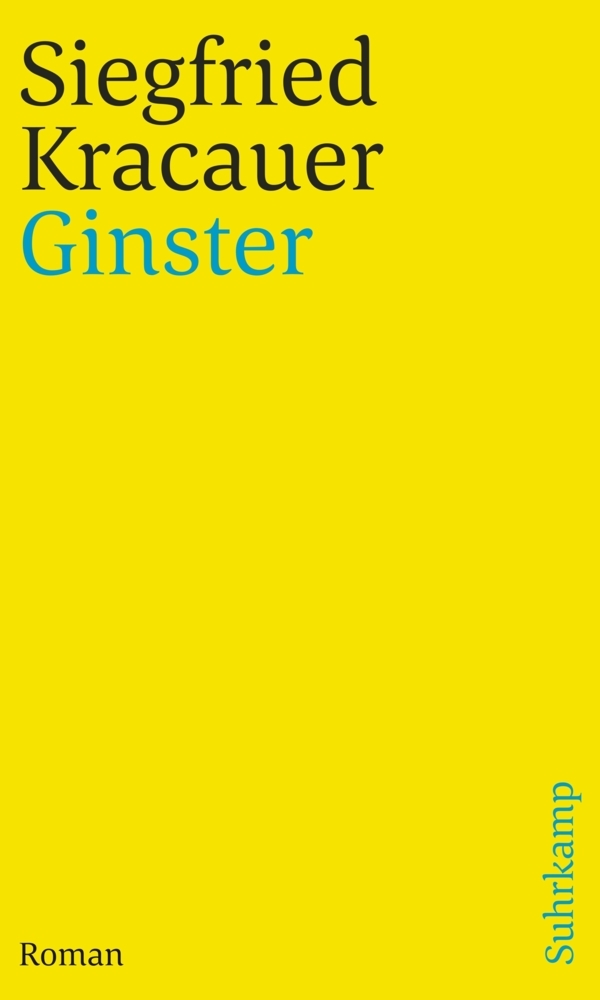 Ginster main product photo