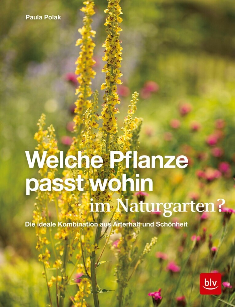 Welche Pflanze passt wohin im Naturgarten? main product photo
