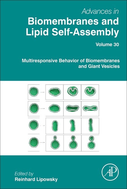 Multiresponsive Behavior of Biomembranes and Giant Vesicles main product photo