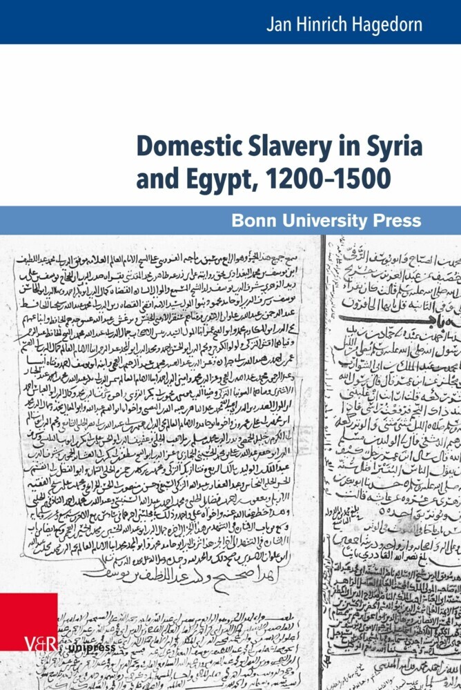 Domestic Slavery in Syria and Egypt, 1200-1500 main product photo
