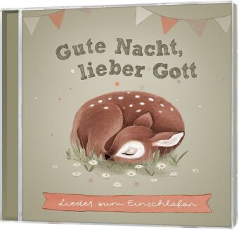 Gute Nacht, lieber Gott, 1 Audio-CD