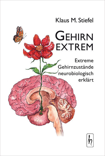 Gehirn extrem main product photo