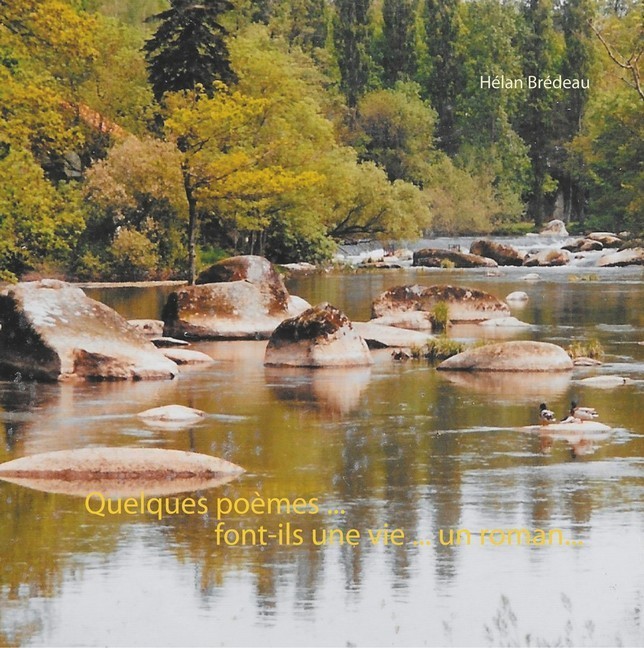 Quelques poèmes... font-ils une vie... un roman... main product photo