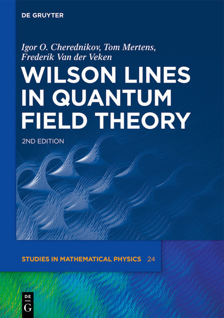 Wilson Lines in Quantum Field Theory main product photo
