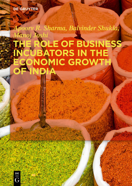 The Role of Business Incubators in the Economic Growth of India main product photo