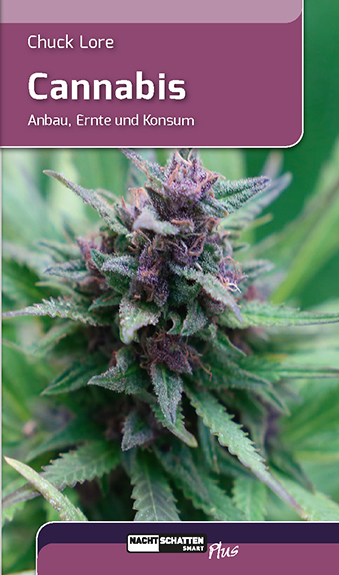 Cannabis main product photo