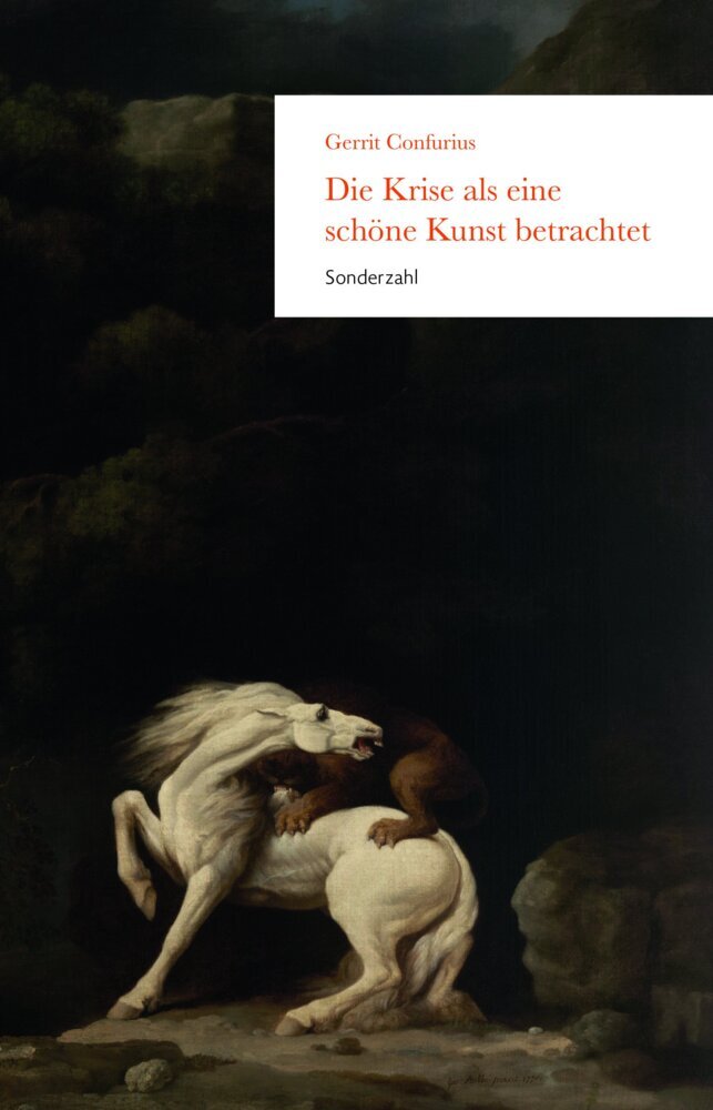 Die Krise als eine schöne Kunst betrachtet main product photo